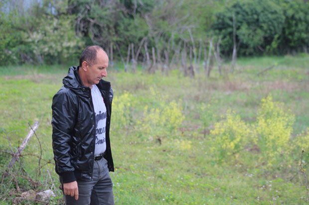 МУКЕ МЕШТАНА СЕЛА У ОКОЛИНИ ТРЕБИЊА: Дивљи коњи уништавају засаде